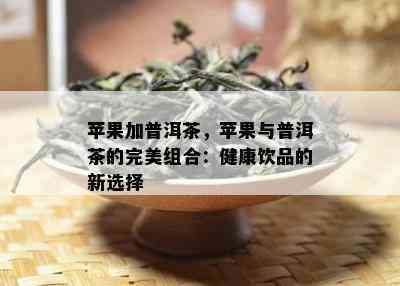 苹果加普洱茶，苹果与普洱茶的完美组合：健康饮品的新选择