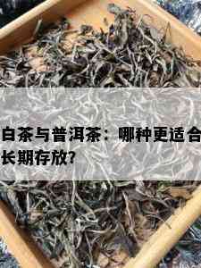 白茶与普洱茶：哪种更适合长期存放？