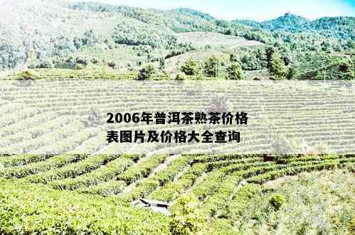 2006年普洱茶熟茶价格表图片及价格大全查询