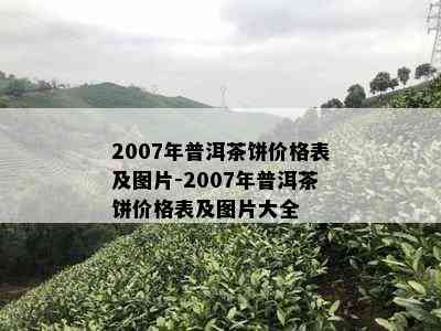 2007年普洱茶饼价格表及图片-2007年普洱茶饼价格表及图片大全