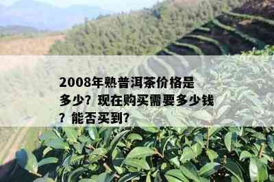 2008年熟普洱茶价格是多少？现在购买需要多少钱？能否买到？