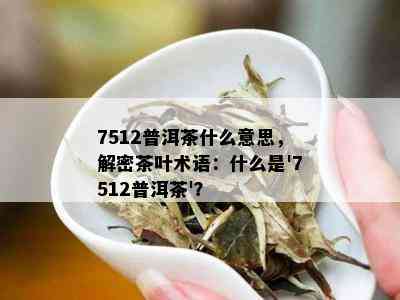 7512普洱茶什么意思，解密茶叶术语：什么是'7512普洱茶'？