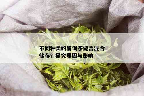 不同种类的普洱茶能否混合储存？探究原因与影响