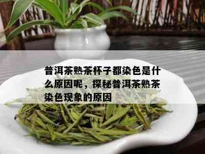 普洱茶熟茶杯子都染色是什么原因呢，探秘普洱茶熟茶染色现象的原因