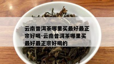 云南普洱茶哪里买更好最正宗好喝-云南普洱茶哪里买更好最正宗好喝的