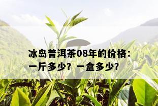 冰岛普洱茶08年的价格：一斤多少？一盒多少？