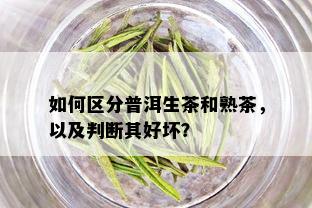 如何区分普洱生茶和熟茶，以及判断其好坏？