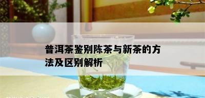 普洱茶鉴别陈茶与新茶的方法及区别解析