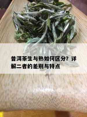 普洱茶生与熟如何区分？详解二者的差别与特点