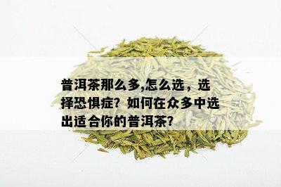 普洱茶那么多,怎么选，选择恐惧症？如何在众多中选出适合你的普洱茶？