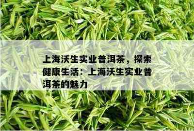 上海沃生实业普洱茶，探索健康生活：上海沃生实业普洱茶的魅力