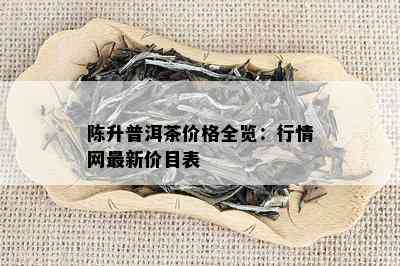 陈升普洱茶价格全览：行情网最新价目表