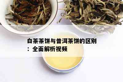 白茶茶饼与普洱茶饼的区别：全面解析视频