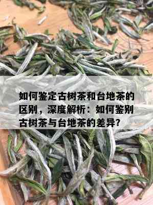 如何鉴定古树茶和台地茶的区别，深度解析：如何鉴别古树茶与台地茶的差异？