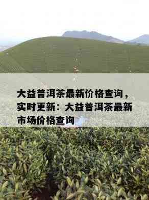 大益普洱茶最新价格查询，实时更新：大益普洱茶最新市场价格查询