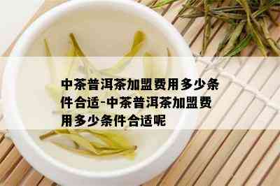 中茶普洱茶加盟费用多少条件合适-中茶普洱茶加盟费用多少条件合适呢