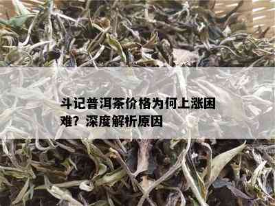 斗记普洱茶价格为何上涨困难？深度解析原因