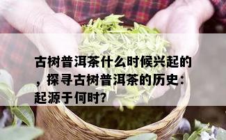 古树普洱茶什么时候兴起的，探寻古树普洱茶的历史：起源于何时？