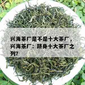 兴海茶厂是不是十大茶厂，兴海茶厂：跻身十大茶厂之列？