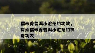 糯米香普洱小沱茶的功效，探索糯米香普洱小沱茶的神奇功效！