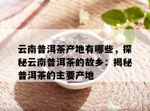 云南普洱茶产地有哪些，探秘云南普洱茶的故乡：揭秘普洱茶的主要产地