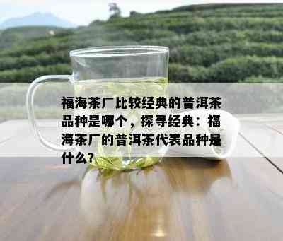 福海茶厂比较经典的普洱茶品种是哪个，探寻经典：福海茶厂的普洱茶代表品种是什么？