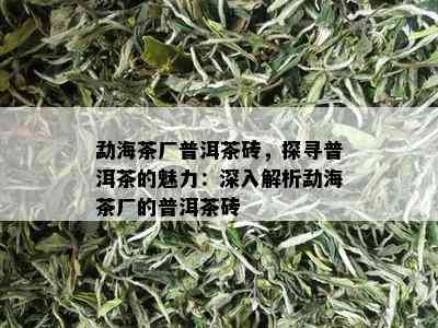 勐海茶厂普洱茶砖，探寻普洱茶的魅力：深入解析勐海茶厂的普洱茶砖