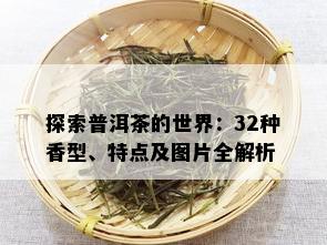 探索普洱茶的世界：32种香型、特点及图片全解析