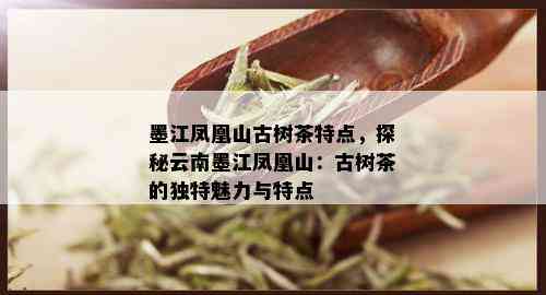 墨江凤凰山古树茶特点，探秘云南墨江凤凰山：古树茶的独特魅力与特点