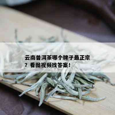 云南普洱茶哪个牌子最正宗？看图视频找答案！