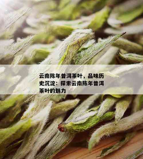 云南陈年普洱茶叶，品味历史沉淀：探索云南陈年普洱茶叶的魅力