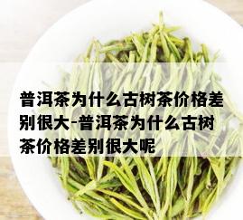 普洱茶为什么古树茶价格差别很大-普洱茶为什么古树茶价格差别很大呢