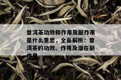 普洱茶功效和作用及副作用是什么意思，全面解析：普洱茶的功效、作用及潜在副作用