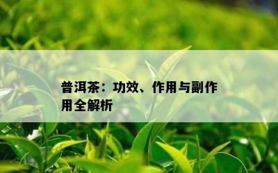 普洱茶：功效、作用与副作用全解析