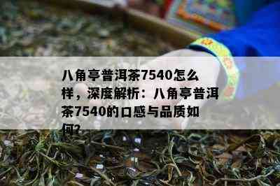 八角亭普洱茶7540怎么样，深度解析：八角亭普洱茶7540的口感与品质如何？