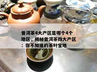 普洱茶4大产区是哪个4个地区，揭秘普洱茶四大产区：你不知道的茶叶宝地