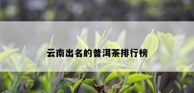 云南出名的普洱茶排行榜