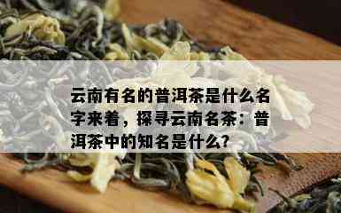 云南有名的普洱茶是什么名字来着，探寻云南名茶：普洱茶中的知名是什么？