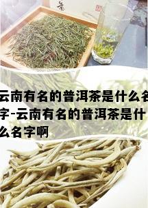 云南有名的普洱茶是什么名字-云南有名的普洱茶是什么名字啊