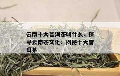 云南十大普洱茶叫什么，探寻云南茶文化：揭秘十大普洱茶