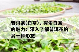 普洱茶(白茶)，探索白茶的魅力：深入了解普洱茶的另一种形态