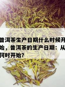 普洱茶生产日期什么时候开始，普洱茶的生产日期：从何时开始？