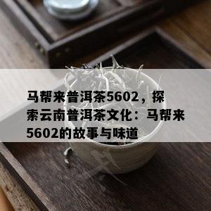 马帮来普洱茶5602，探索云南普洱茶文化：马帮来5602的故事与味道