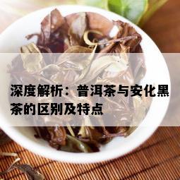 深度解析：普洱茶与安化黑茶的区别及特点