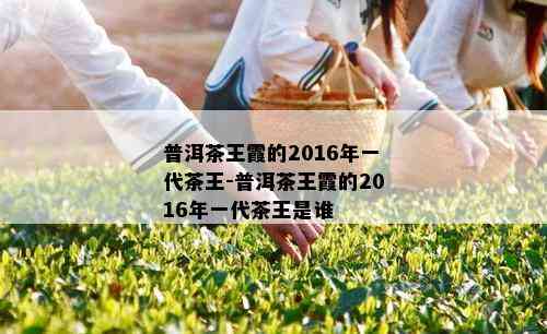 普洱茶王霞的2016年一代茶王-普洱茶王霞的2016年一代茶王是谁