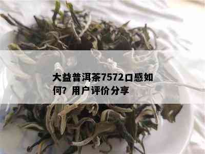 大益普洱茶7572口感如何？用户评价分享