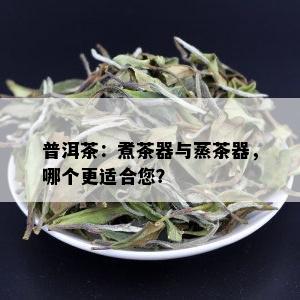 普洱茶：煮茶器与蒸茶器，哪个更适合您？