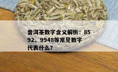 普洱茶数字含义解析：8592、9948等常见数字代表什么？