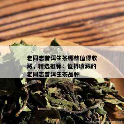 老同志普洱生茶哪些值得收藏，精选推荐：值得收藏的老同志普洱生茶品种