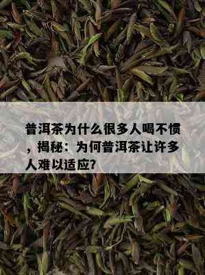 普洱茶为什么很多人喝不惯，揭秘：为何普洱茶让许多人难以适应？